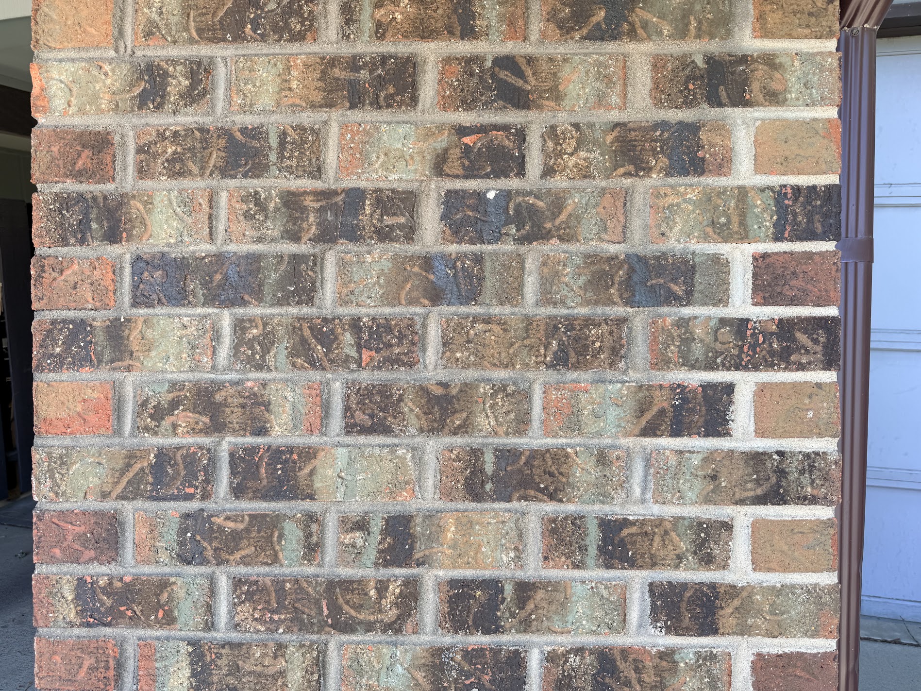 A freshly limewashed brick wall with a brown downspout beside a garage door