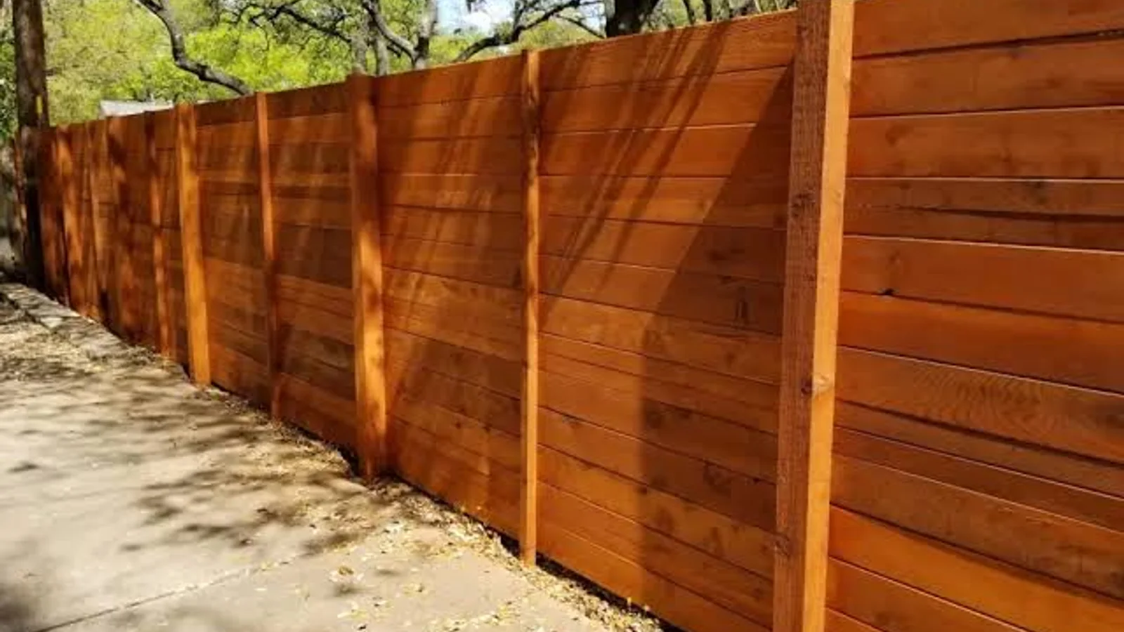 Cedar privacy fence panels freshly stained and sealed in a back yard